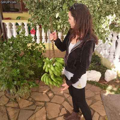 janaina com banana verde