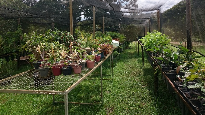 fazenda de produtos agroecologicos