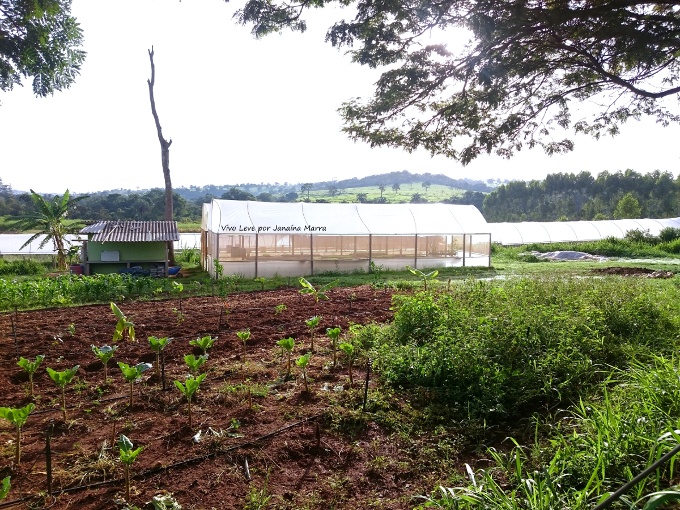 fazenda vista alegre organicos