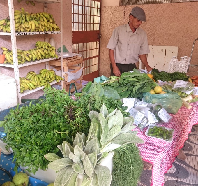 feira terra viva assentamento