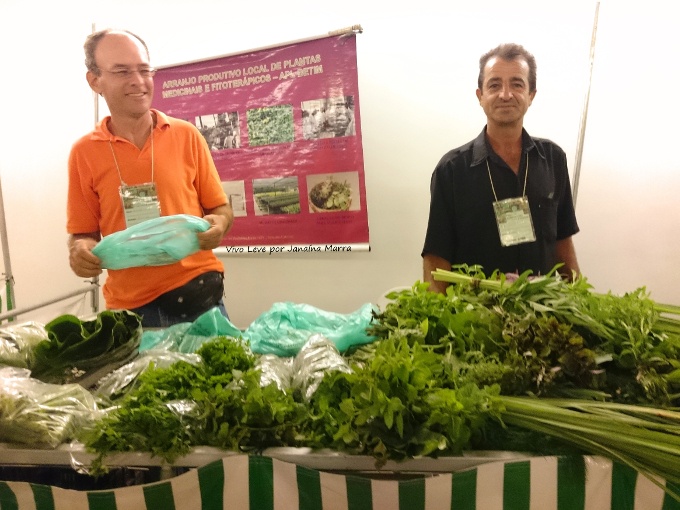 plantas medicinais feira cidade administrativa