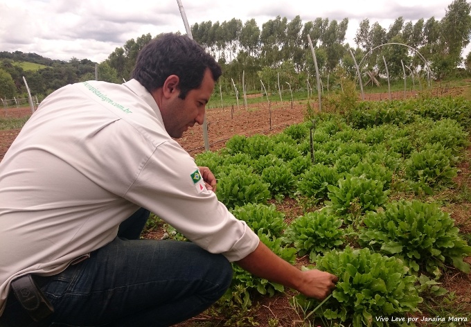 produtos organicos