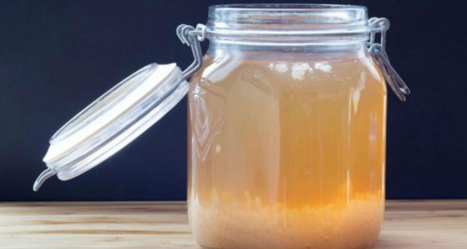 kefir de agua entrevista vivo leve