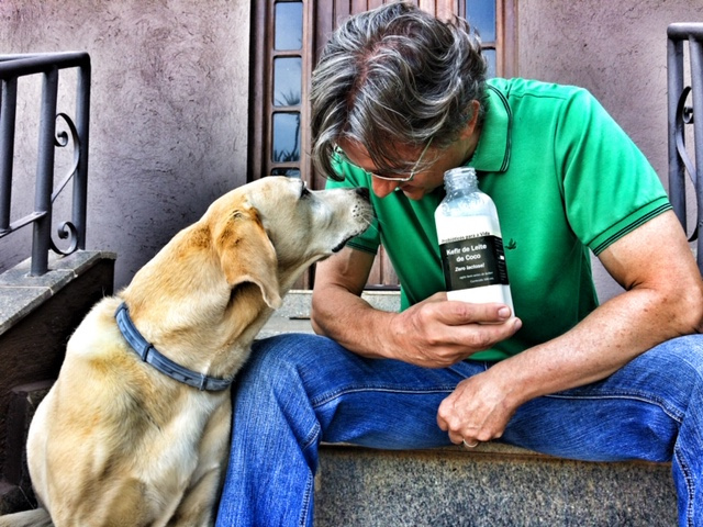 leonardo fonseca mr kefir probioticos